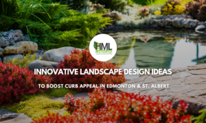 Innovative Landscape Design Ideas