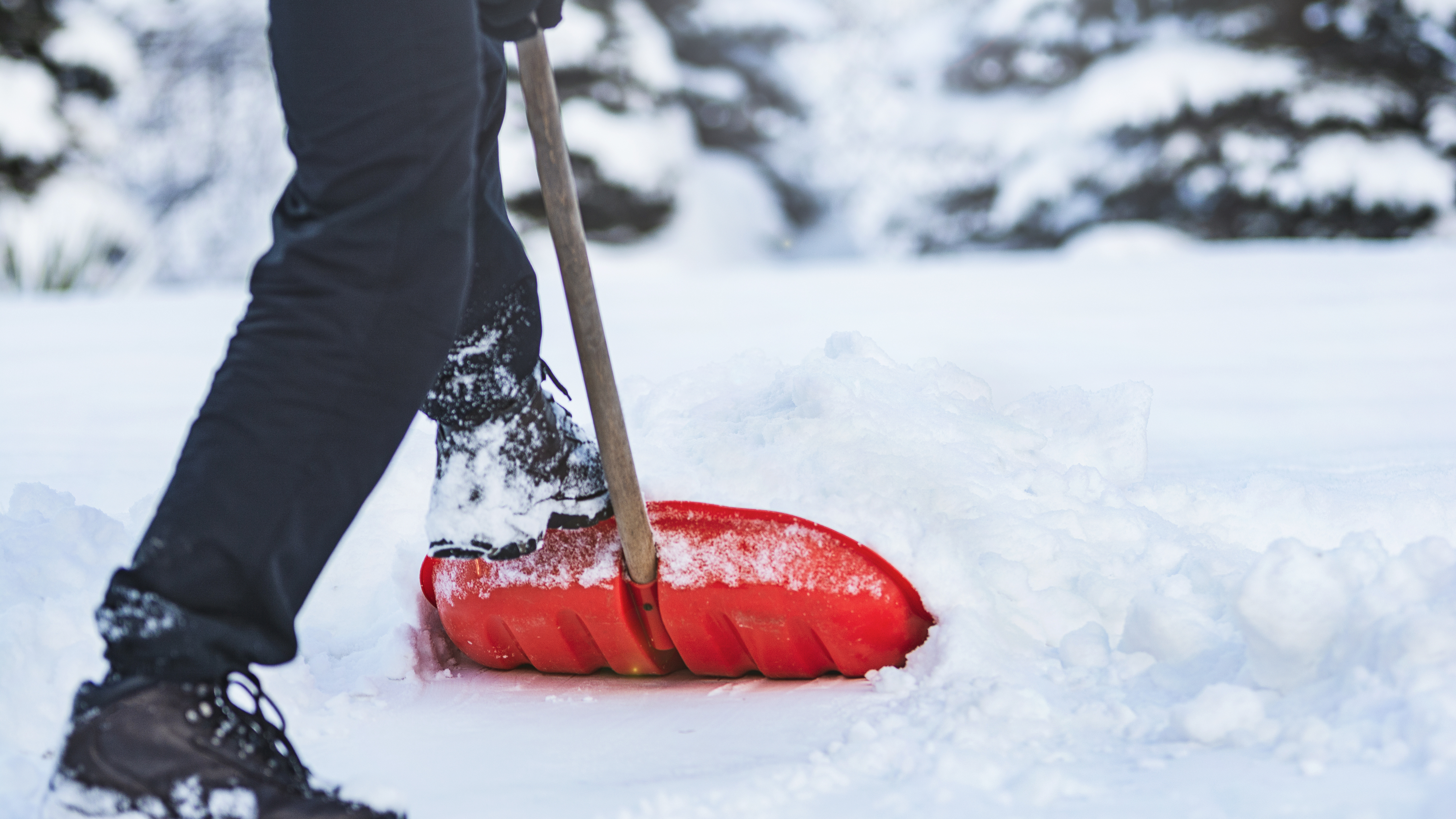 Snow Removal Services